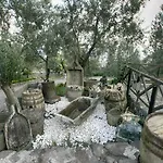 Dionysos Special Class Adults Only 12 Years Hotel Assos