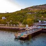Dionysos Special Class Adults Only 12 Years *