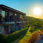Dionysos Special Class Adults Only 12 Years * Assos