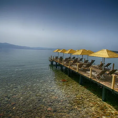 Dionysos Special Class Adults Only 12 Years Hotel *
