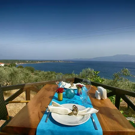 Dionysos Special Class Adults Only 12 Years