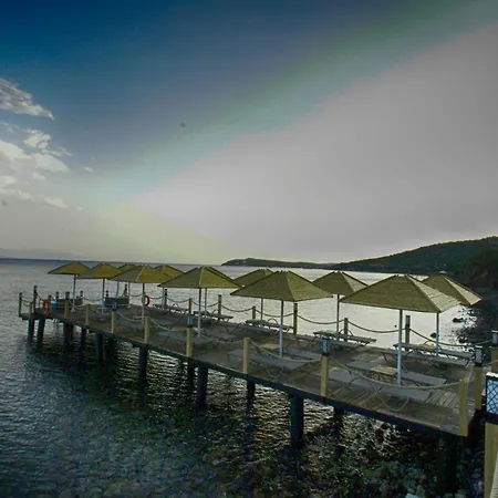 Dionysos Special Class Adults Only 12 Years Hotel Assos