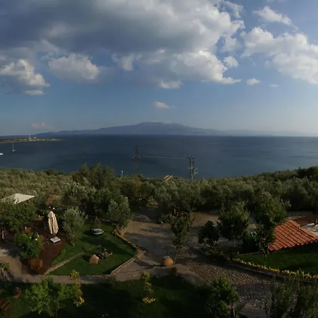 Hotel Dionysos Special Class Adults Only 12 Years *