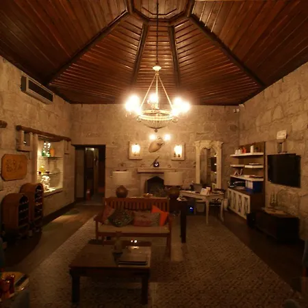 Dionysos Special Class Adults Only 12 Years