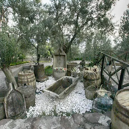 Dionysos Special Class Adults Only 12 Years Hotel Assos