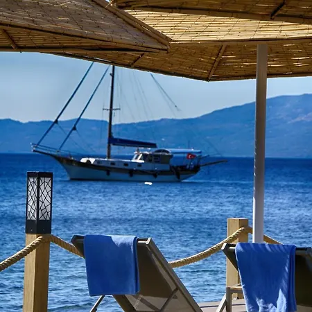 Dionysos Special Class Adults Only 12 Years * Assos