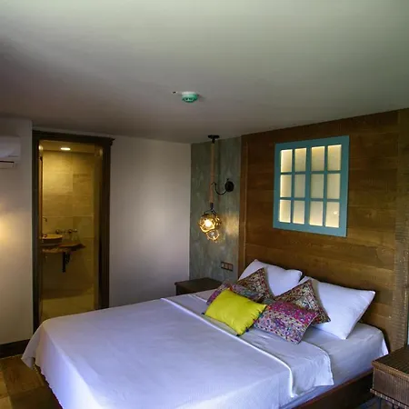 Dionysos Special Class Adults Only 12 Years