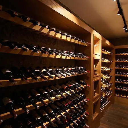 Dionysos Special Class Adults Only 12 Years *