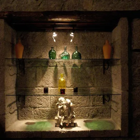 Dionysos Special Class Adults Only 12 Years Assos