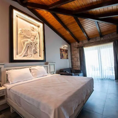 Dionysos Special Class Adults Only 12 Years Hotel *