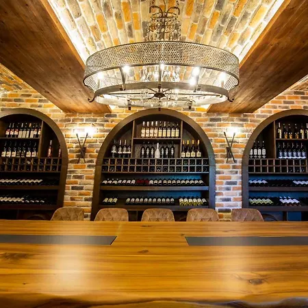 Dionysos Special Class Adults Only 12 Years Hotel *