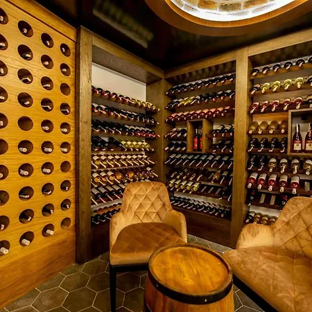 Hotel Dionysos Special Class Adults Only 12 Years