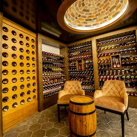 Dionysos Special Class Adults Only 12 Years Hotel