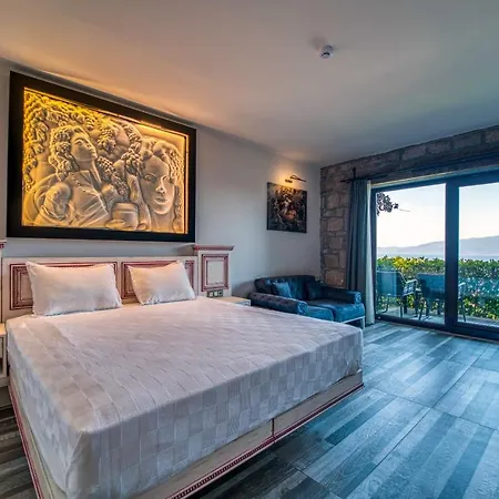 Dionysos Special Class Adults Only 12 Years Hotel Assos