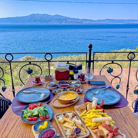 Dionysos Special Class Adults Only 12 Years Hotel *