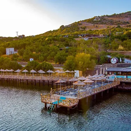 Dionysos Special Class Adults Only 12 Years *