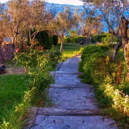 Dionysos Special Class Adults Only 12 Years Hotel Assos