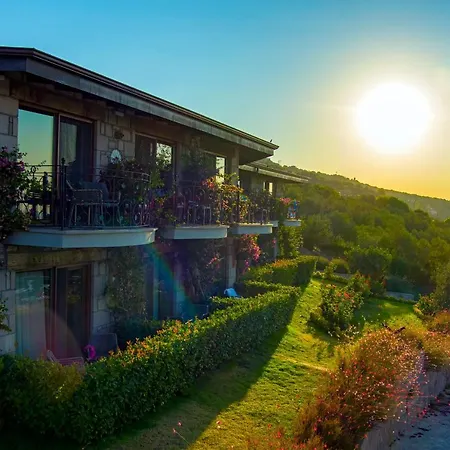 Dionysos Special Class Adults Only 12 Years * Assos