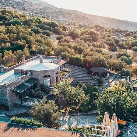 Dionysos Special Class Adults Only 12 Years *