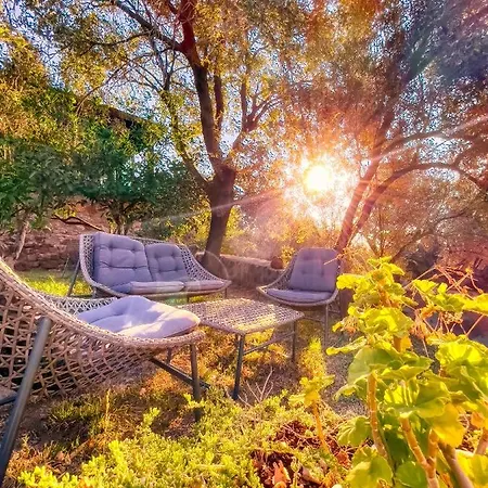 Dionysos Special Class Adults Only 12 Years Hotel Assos