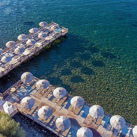 Dionysos Special Class Adults Only 12 Years Hotel