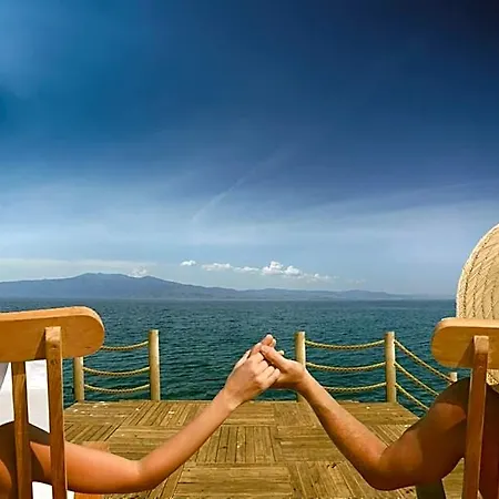Dionysos Special Class Adults Only 12 Years Assos