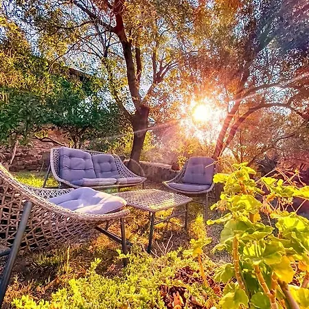 Hotel Dionysos Special Class Adults Only 12 Years