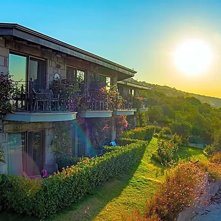 Dionysos Special Class Adults Only 12 Years فندق Assos