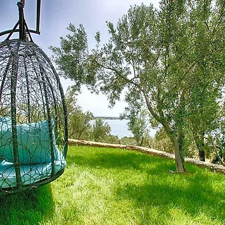 Dionysos Special Class Adults Only 12 Years فندق Assos