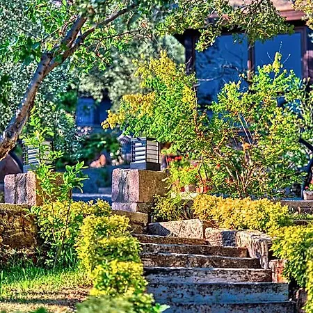 Dionysos Special Class Adults Only 12 Years Hotel *