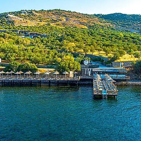 Dionysos Special Class Adults Only 12 Years فندق *