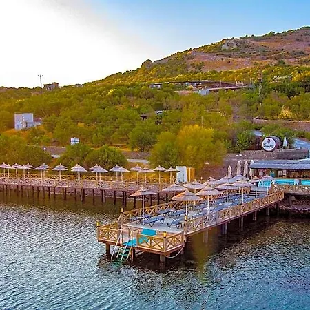 Dionysos Special Class Adults Only 12 Years *