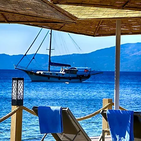 Dionysos Special Class Adults Only 12 Years فندق