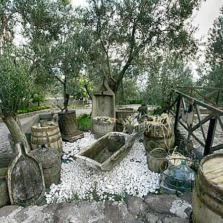 فندق Dionysos Special Class Adults Only 12 Years *