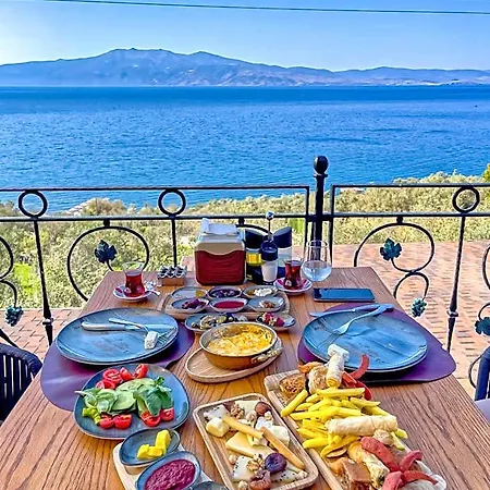 Dionysos Special Class Adults Only 12 Years * Assos