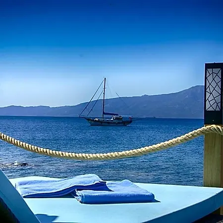 Dionysos Special Class Adults Only 12 Years فندق Assos