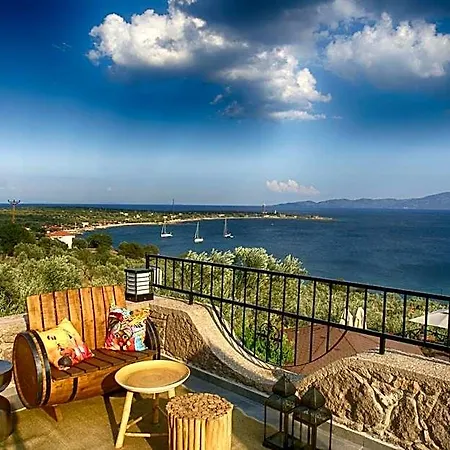 Dionysos Special Class Adults Only 12 Years Assos